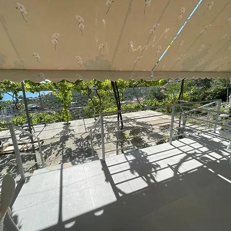 View * 科帕罗